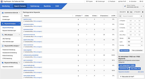 Keyword-Analyse Search Console